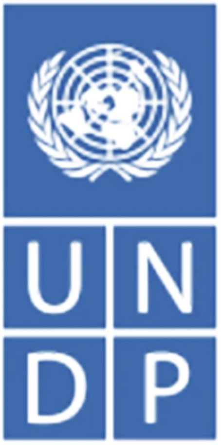 UNDP