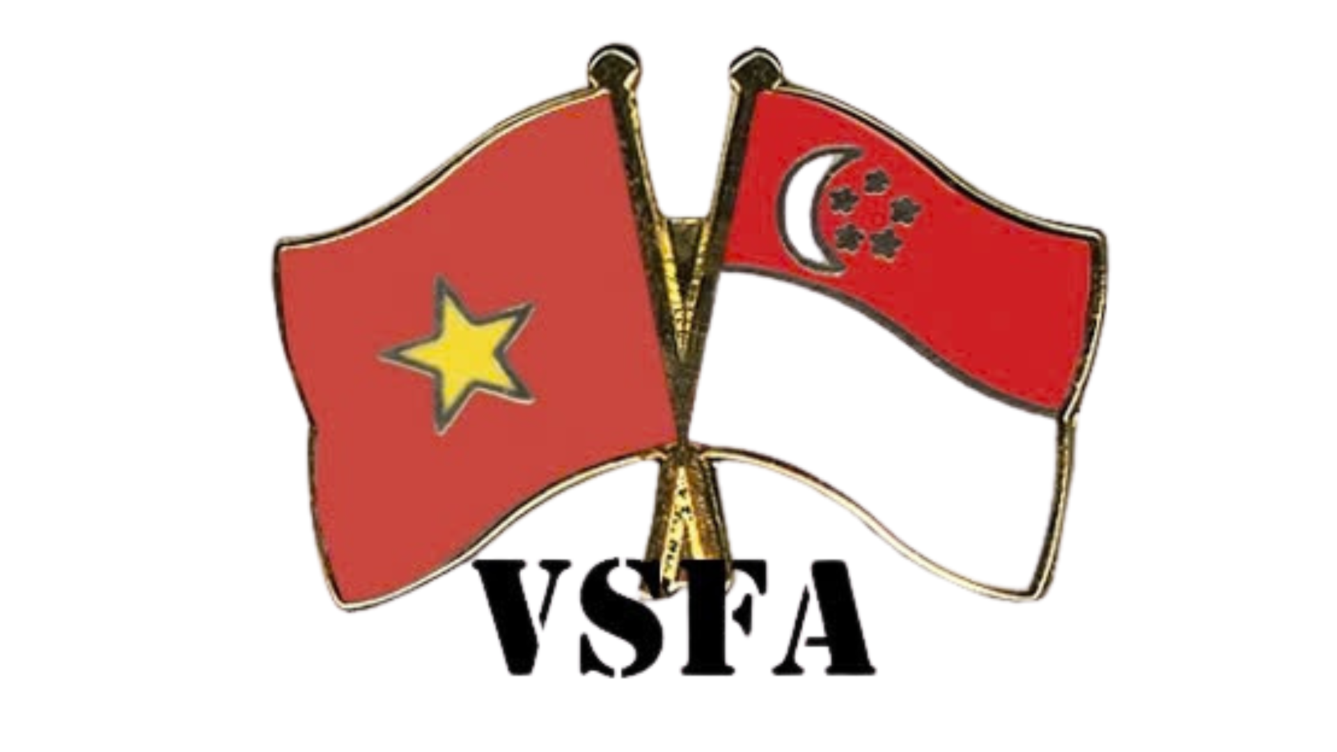 Vietnam - Singapore Friendship Association (VSFA)