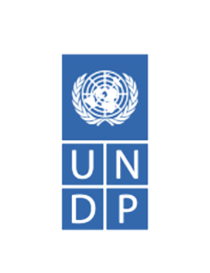 United Nations Development Programme (UNDP)