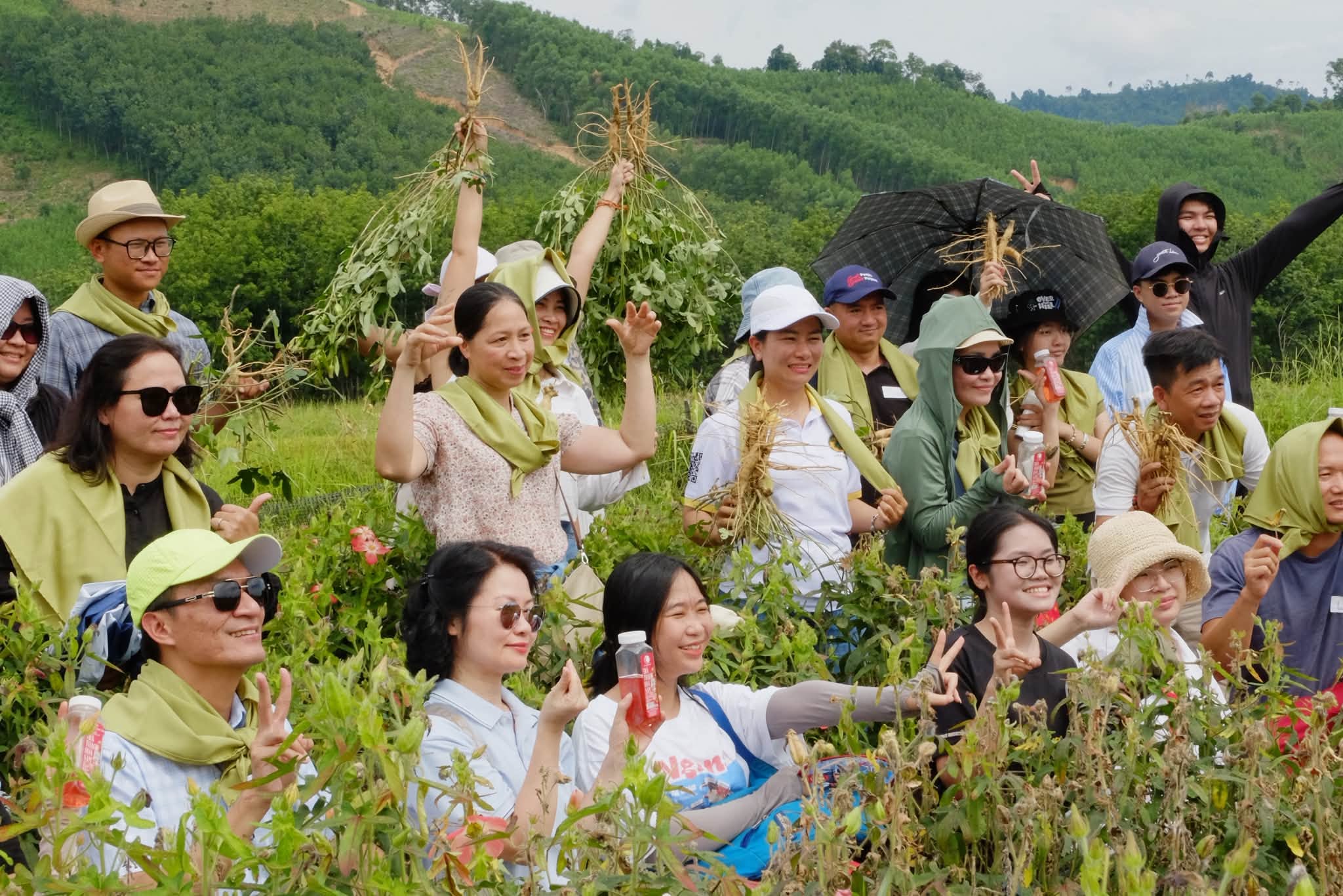 Zalo EVI Hub